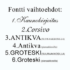 Muistolaatan kiinnitys, kuva takapuolelta.